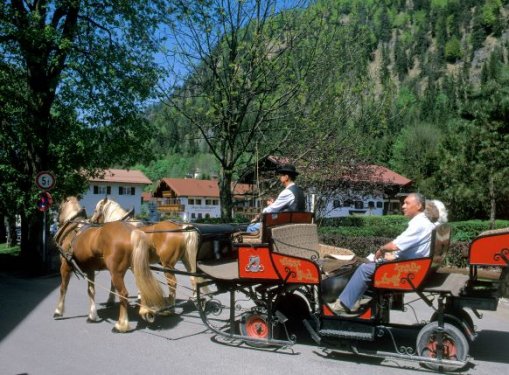 Paardenkoets